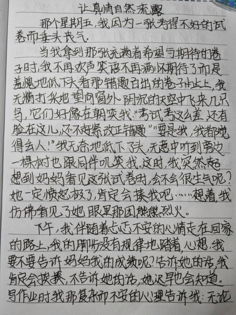 真情不一样的初三记叙（一个小小的举动，改变了一段友谊）