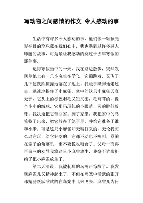 伙伴之间的信任（我们一起走过）