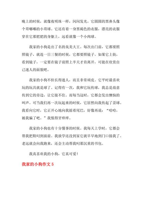 三年级小狗的成长故事——从“小笨蛋”到“懂事宝贝”