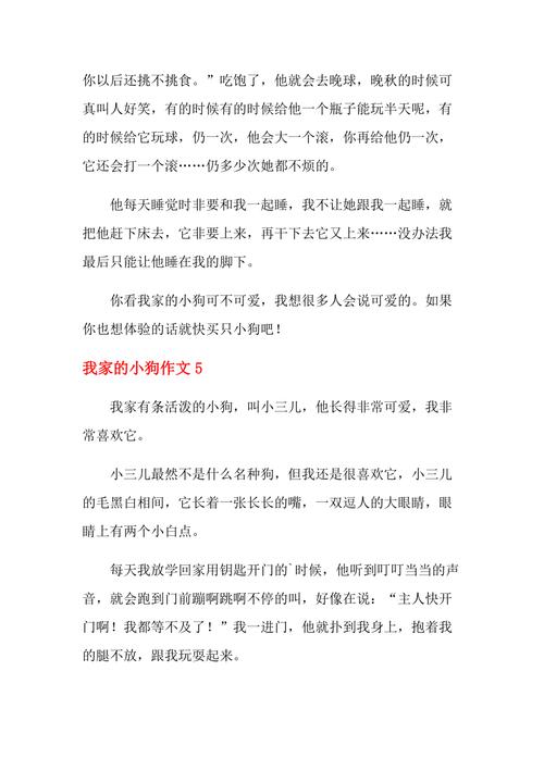 三年级小狗的成长故事——从“小笨蛋”到“懂事宝贝”