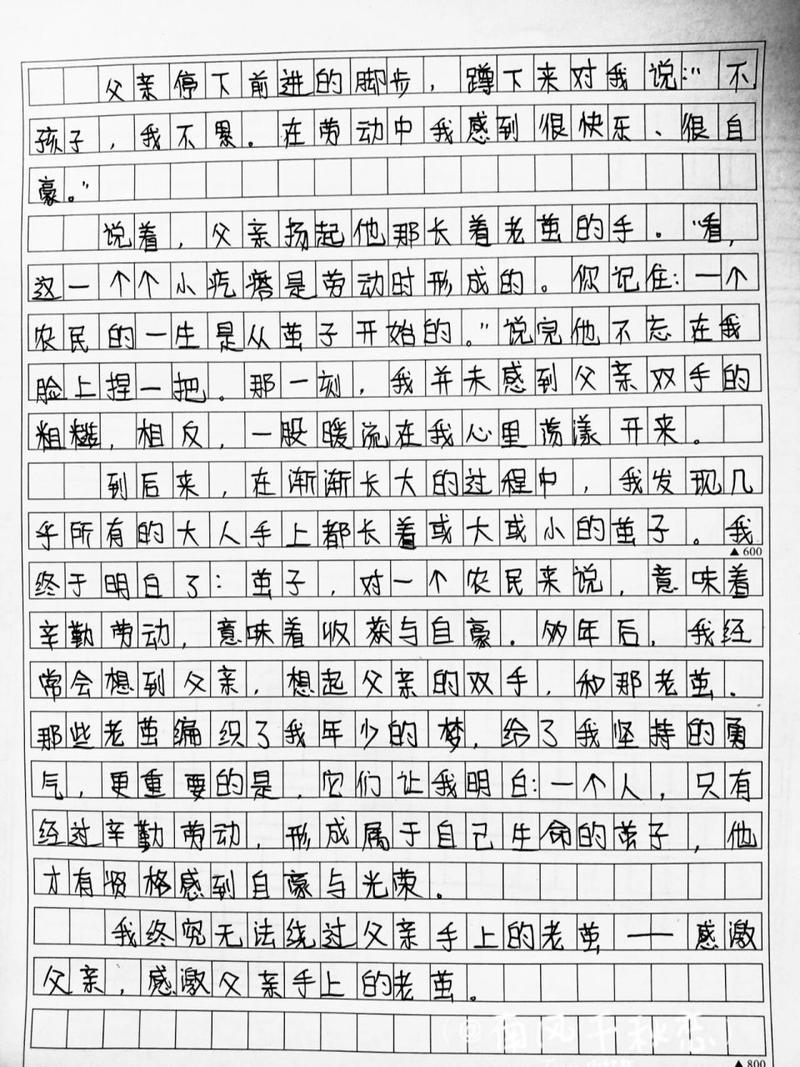 父爱无言（2024年父亲节特别纪念）